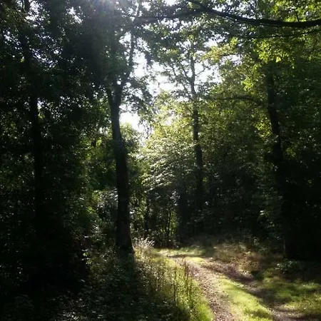 Appartement Dolcevita Bad Bertrich