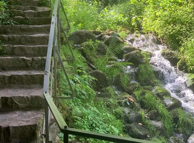 Dolcevita Bad Bertrich