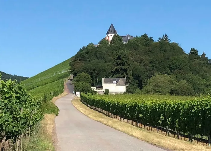 Dolcevita Apartamento