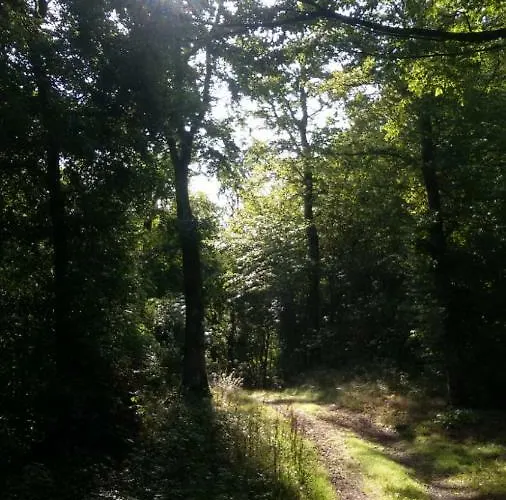 Apartamento Dolcevita Bad Bertrich